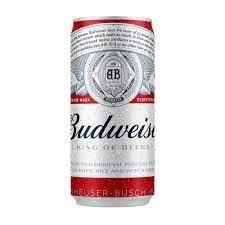 imagem de BUDWEISER LT 269ML