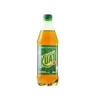 imagem de KUAT GUARANA 600