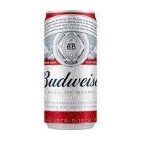 imagem de BUDWEISER LT 269ML