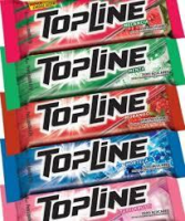 imagem de CHI TOPLINE STICK MENTA